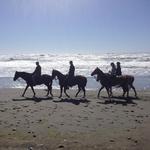 Crescent Trail Rides