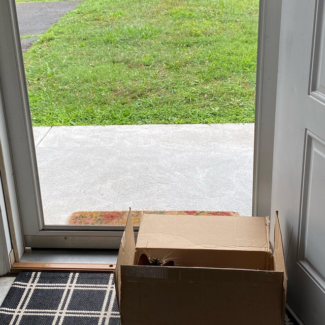 Honeymoon, Home, Plant and Cat Fund