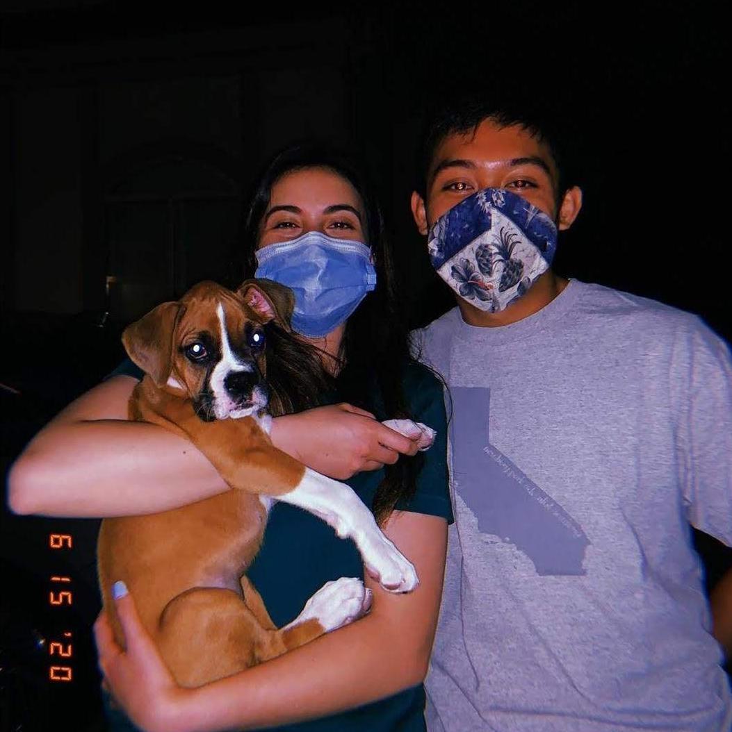 June 2020 - Masking up while Vivien Lee meets Bellini as a puppy.