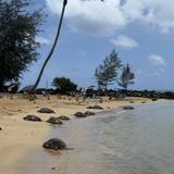 Poipu Beach