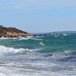 Cape Cod National Seashore