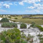 Smyrna Dunes Park