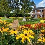 Museum of the Shenandoah Valley