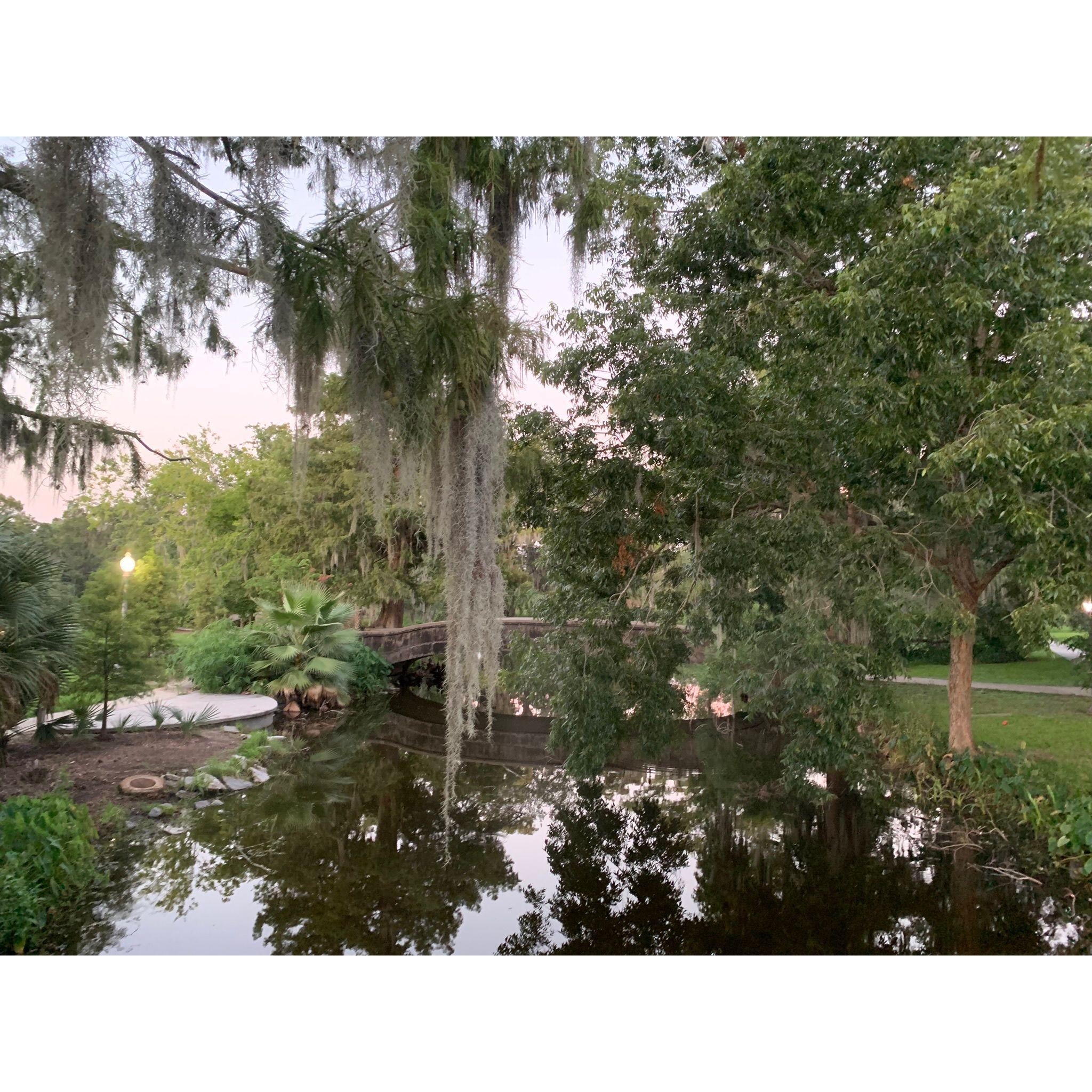 The park we got engaged in, it was a magical evening