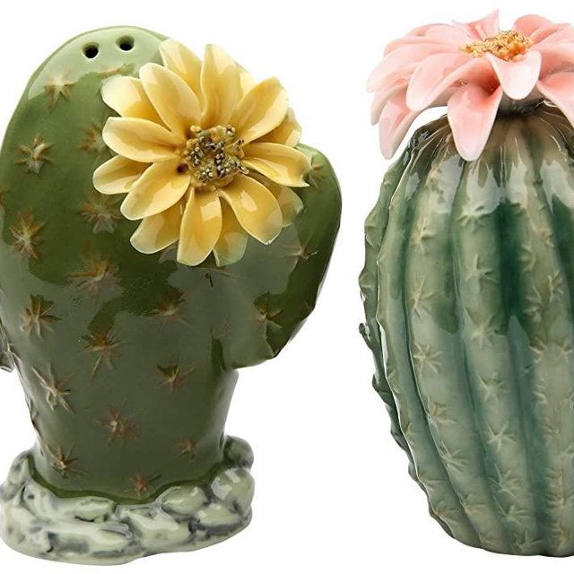 StealStreet SS-CG-20893, 3.13 Inch Painted Pair of Cactus Flowers Salt and Pepper Shakers