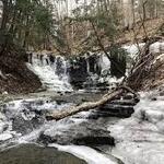 Wolfe Park Hiking Trail