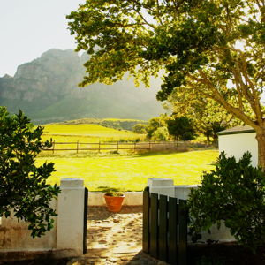 Wine Tasting For Two