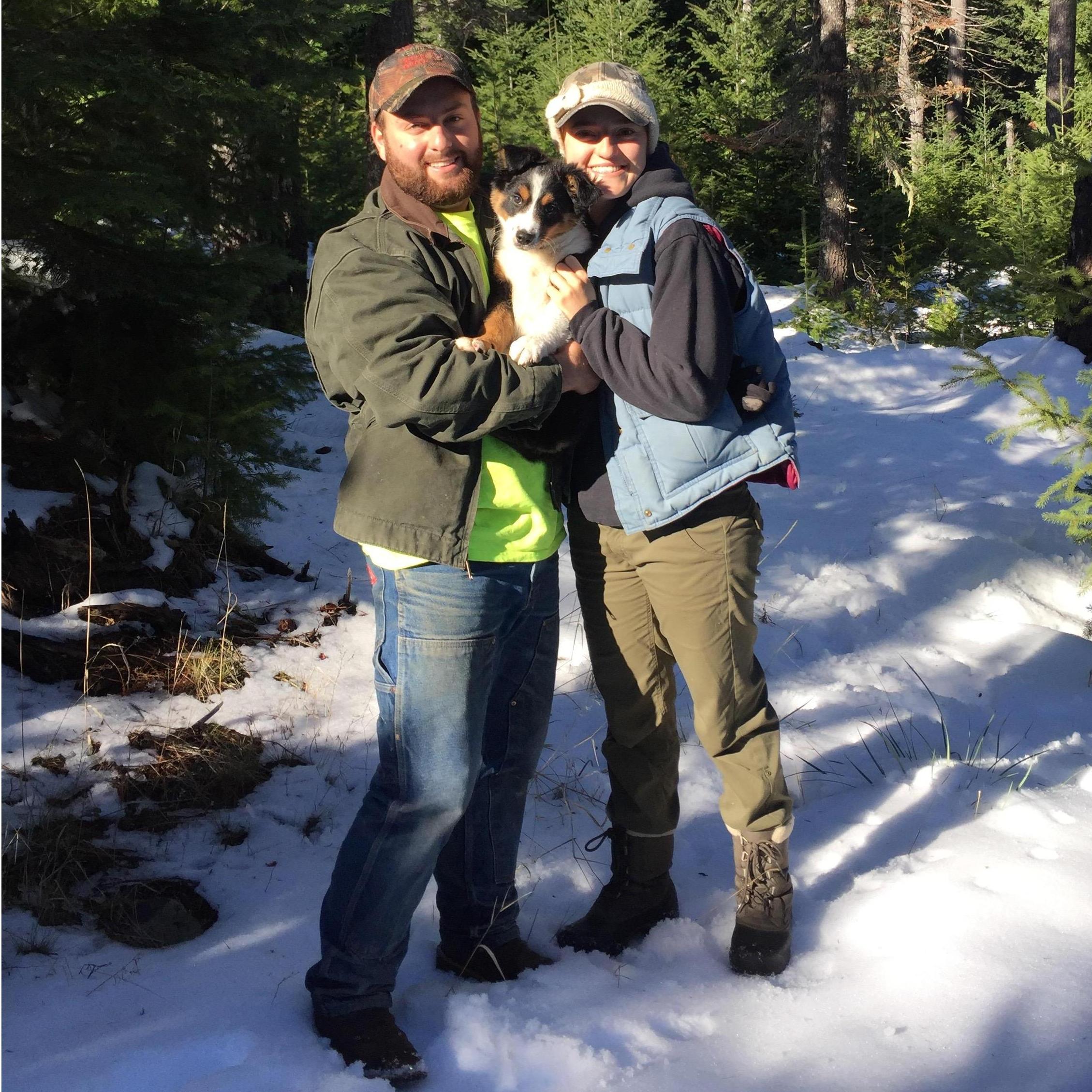 Hunting for a Christmas tree, 2016