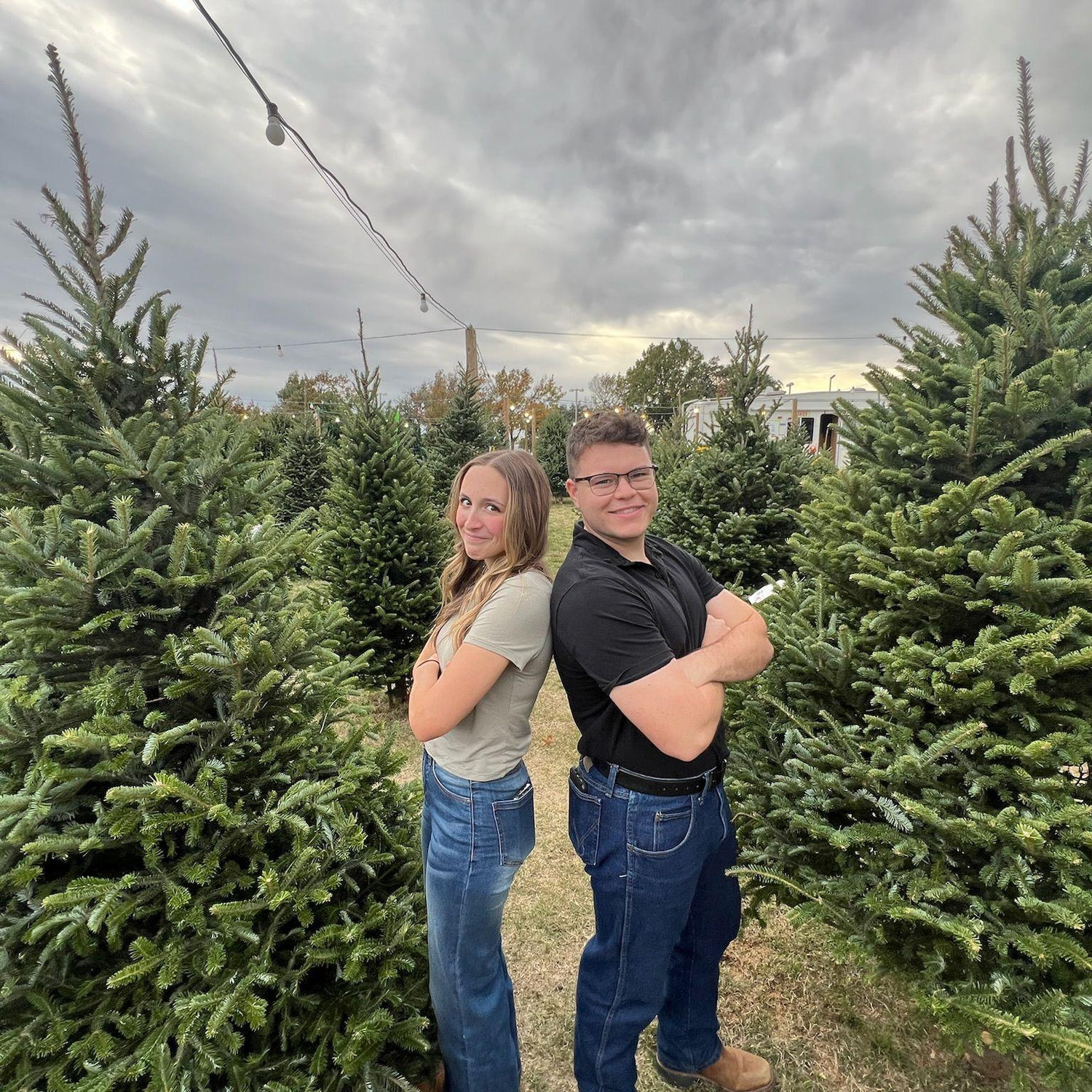 Christmas tree shopping