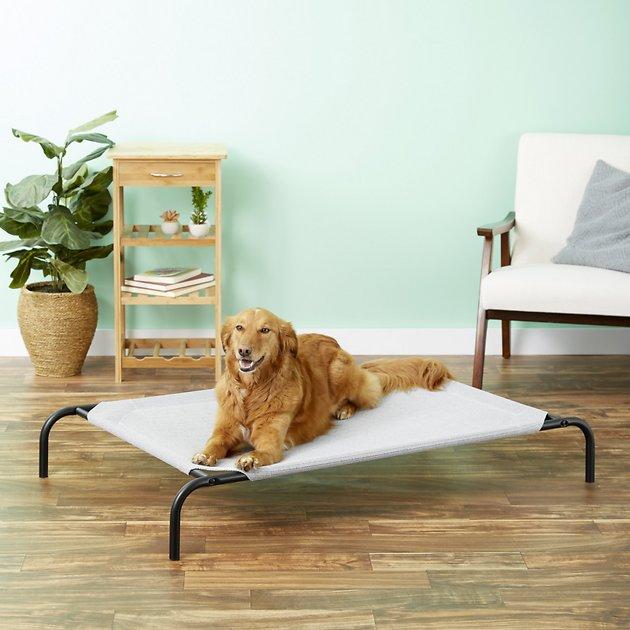 Coolaroo Steel-Framed Elevated Dog Bed, Grey, Large - Chewy.com