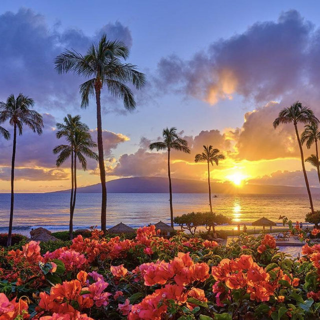 Hawaii Honeymoon Fund