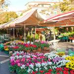 Marché Aux Fleurs Cours Saleya