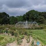 Columbus Park of Roses