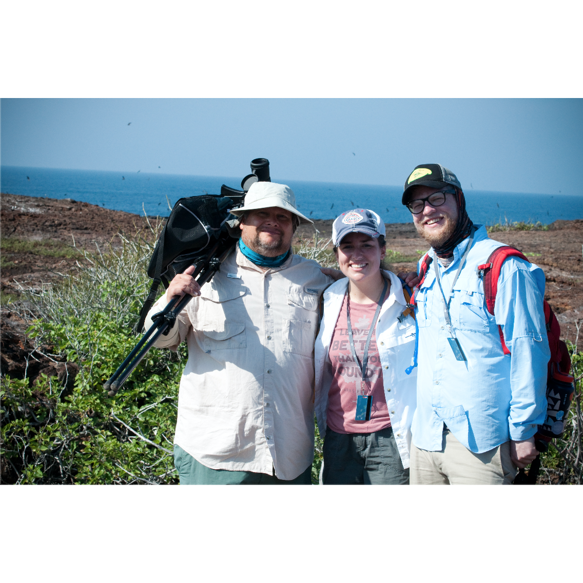 Looking for the Galapápagos hawk