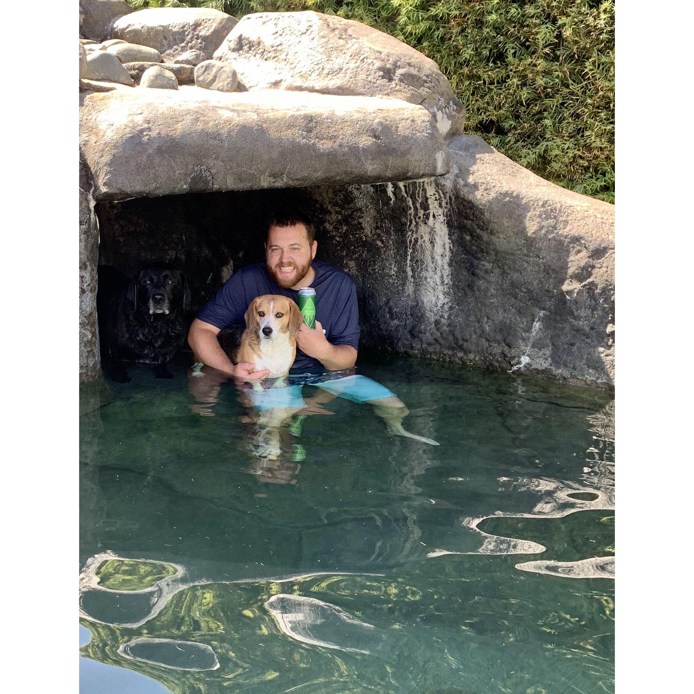 Moved home to save money for a house, but really it was to spend time with the dogs.