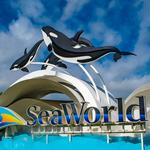 SeaWorld San Diego