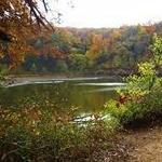 Turkey Mountain Urban Wilderness Area