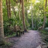 Black Bear Wilderness Trailhead