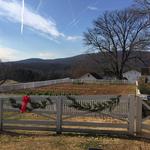 James Monroe's Highland