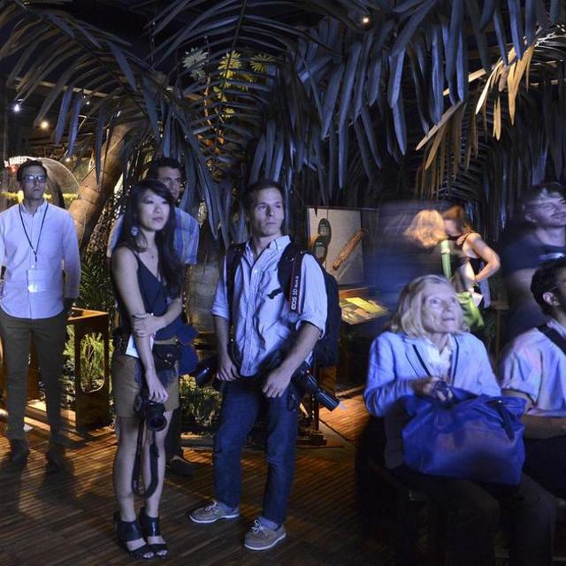 Night at the Natural History Museum