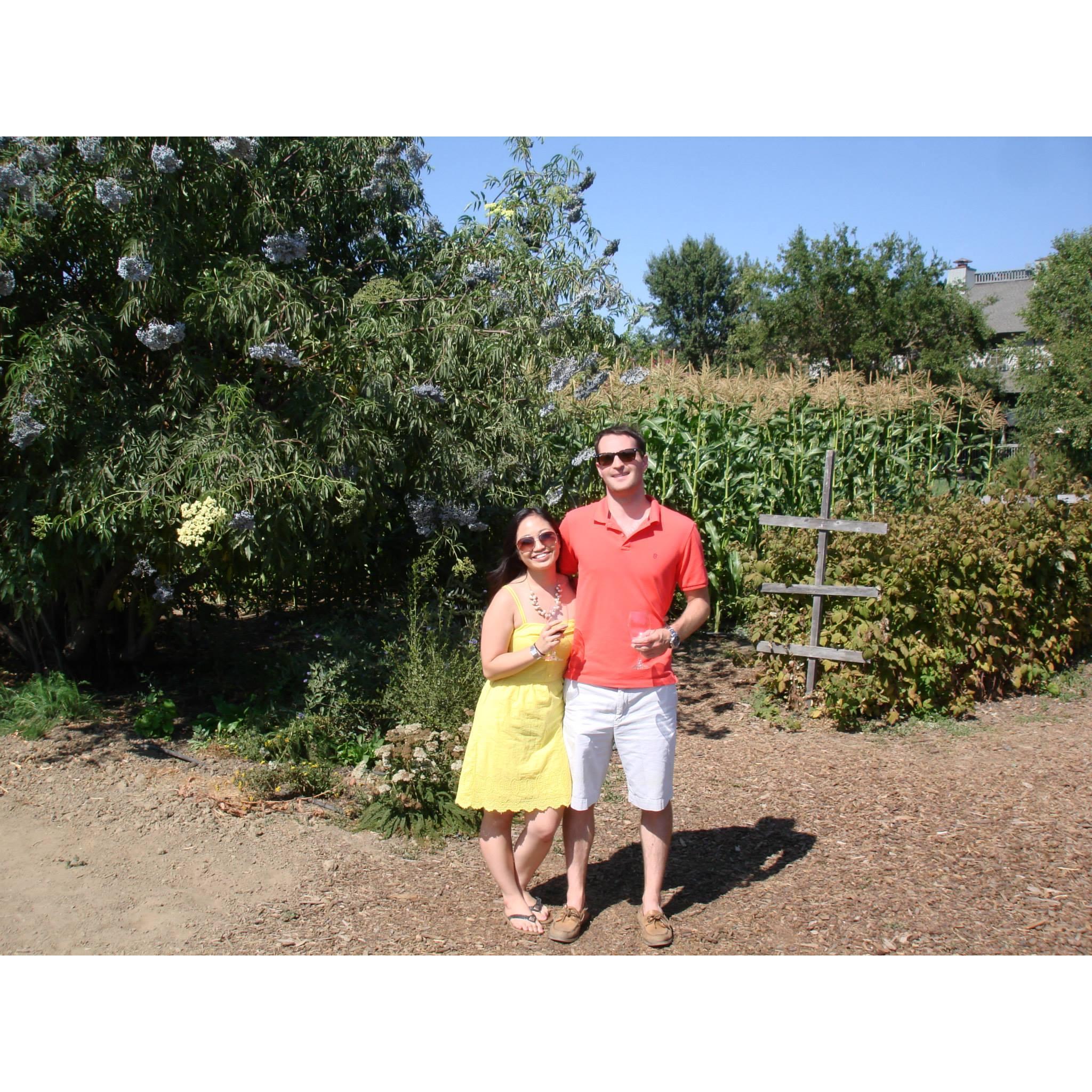 Winery hopping in Napa! Here we are at Frog's Leap :)