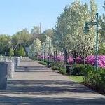 Waterfront Park