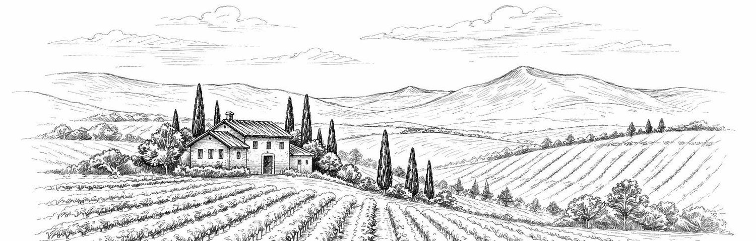 The Wedding Website of Claudia Lima and Danyo Galuppo