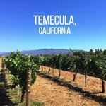 Temecula Wine Tasting ( Tours )