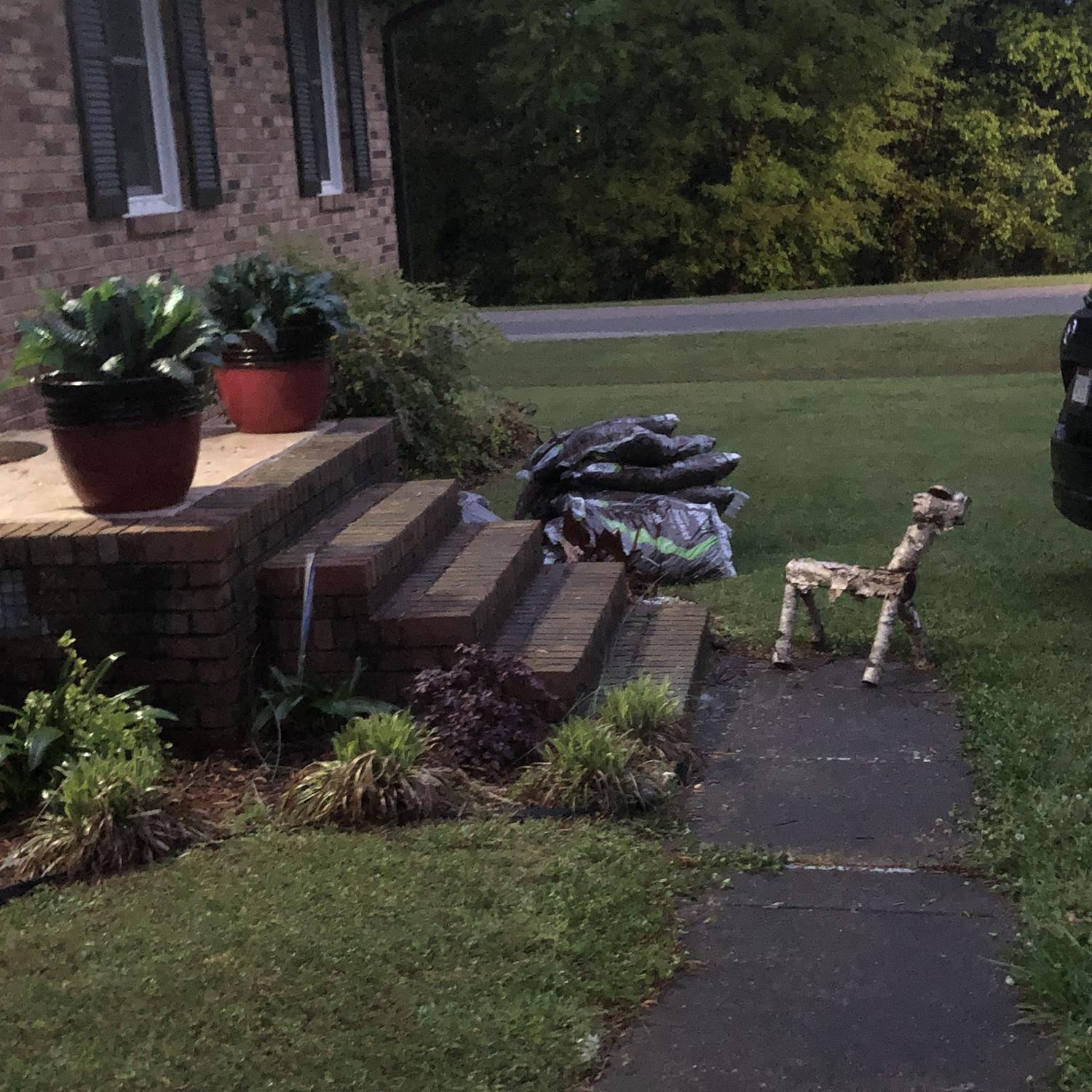 Matt knows how much Ivonne loves having a nice garden. He got mulch and made her a deer