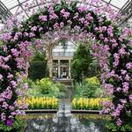 Longwood Gardens