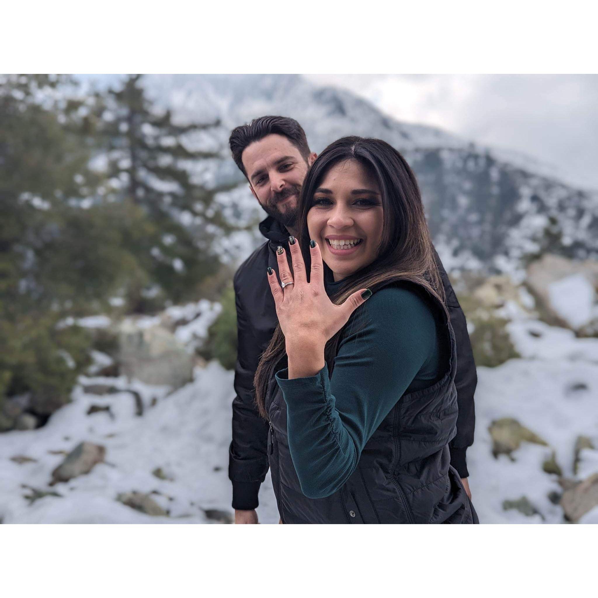 Proposal Day!