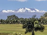 Mauna Kea