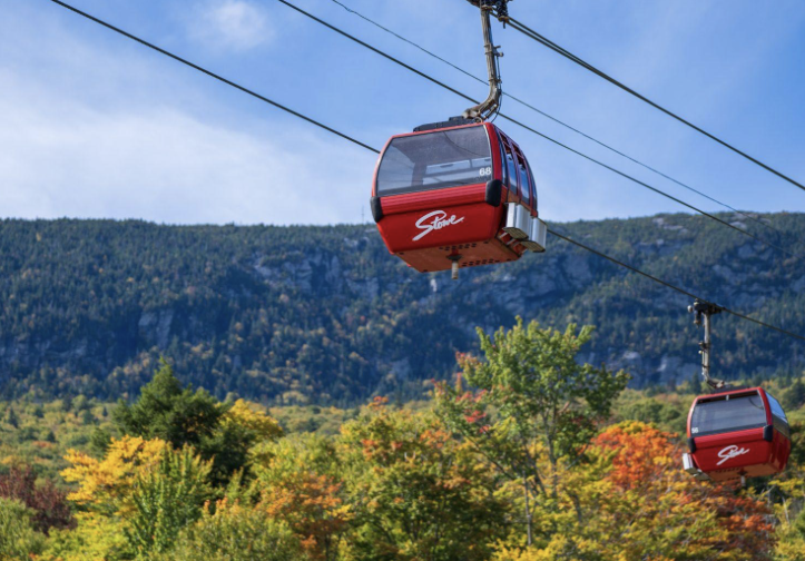 The Wedding Website of Meg Davidow and Jonny Kaul