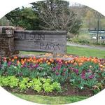 Wilson Park