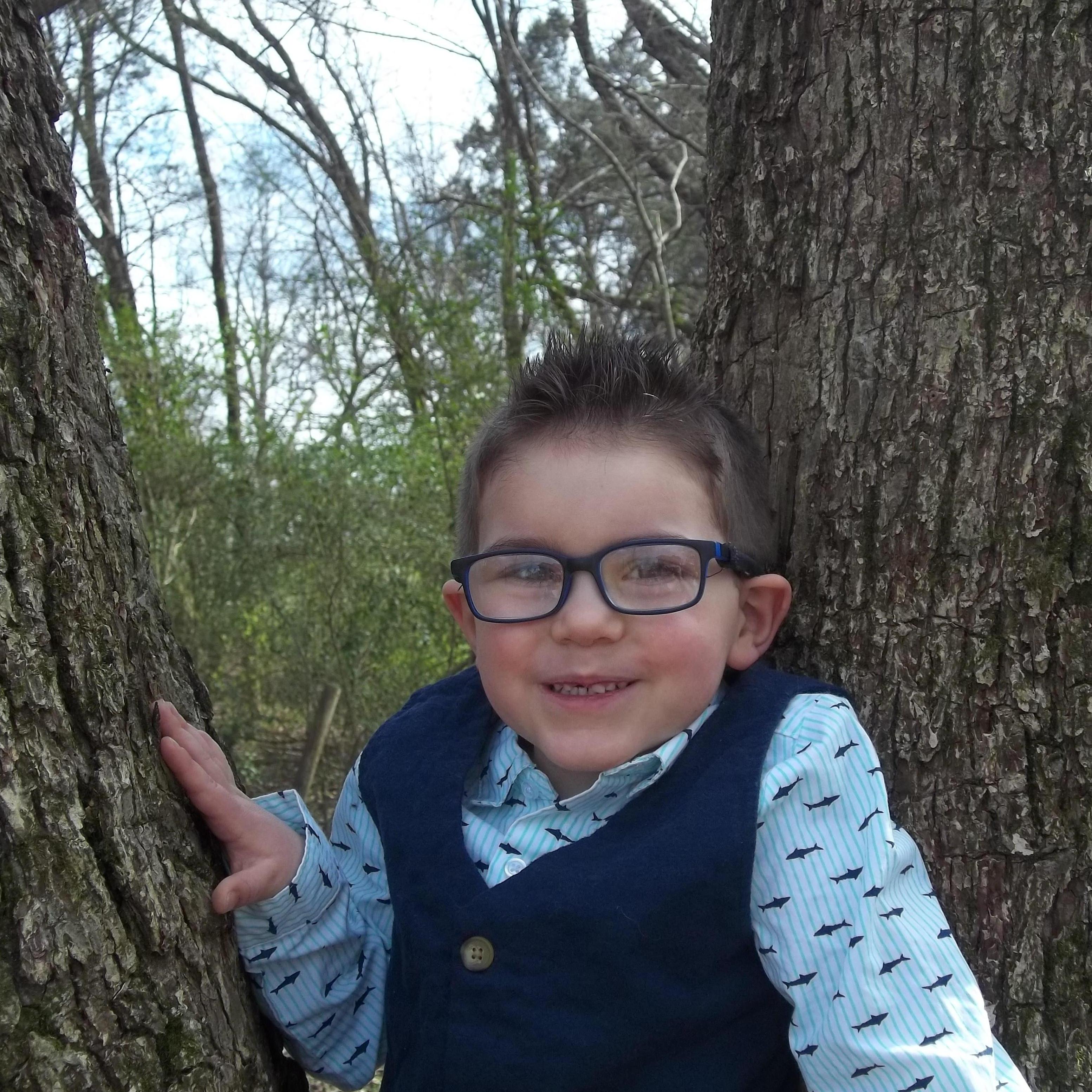 Kaden...just chilling in a tree.