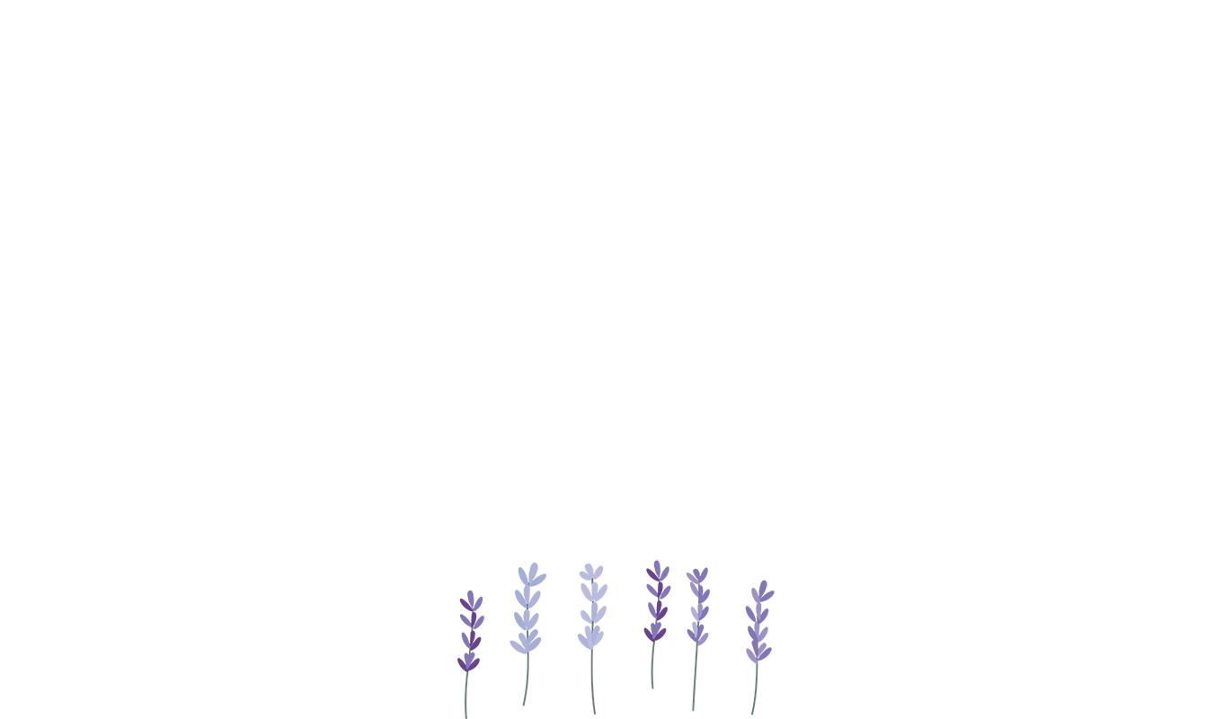 Footer image