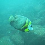 Zihuatanejo: Snorkeling in Manzanillo and Las Gatas