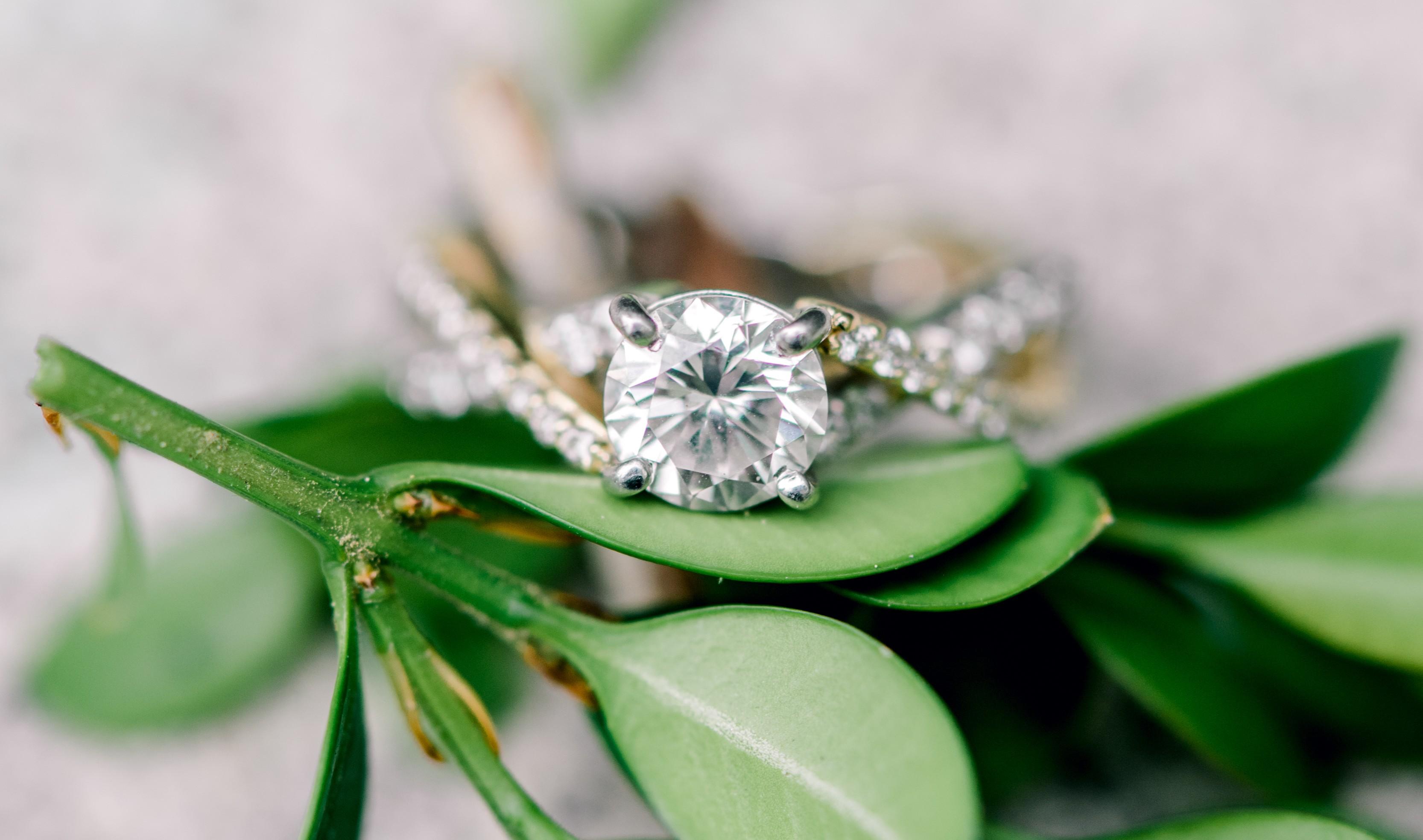 The Wedding Website of Christina Rueger and Paul Consiglio