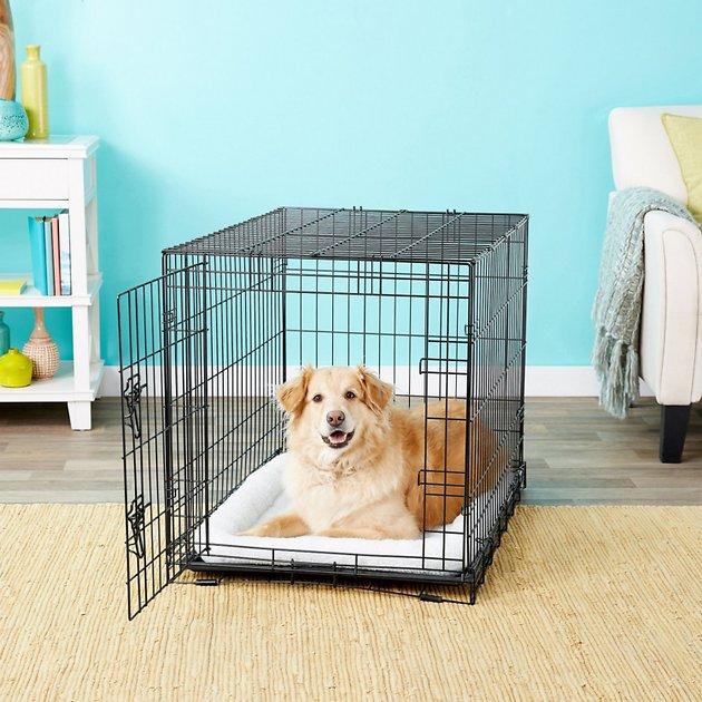 FRISCO Fold & Carry Single Door Collapsible Wire Dog Crate, 36 inch - Chewy.com