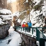 Johnston Canyon