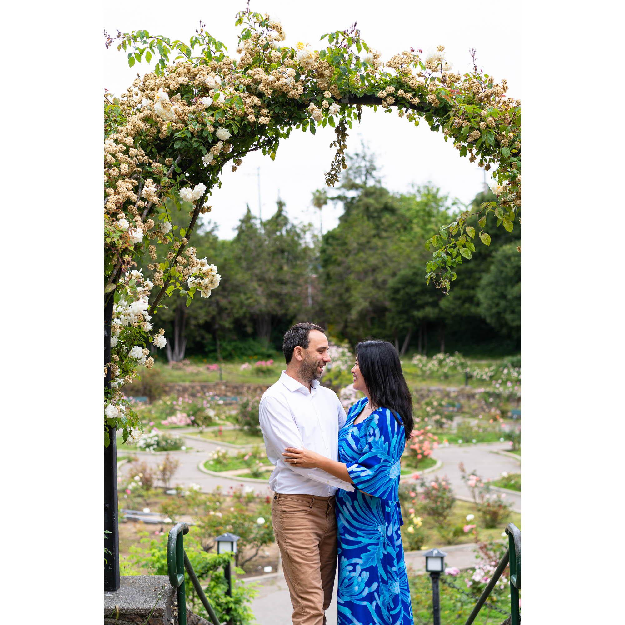 Mahalo, Grotius, for the beautiful pics in the Oakland Rose Garden!