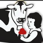 Annabelle's Natural Ice Cream