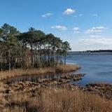 Assawoman Wildlife Area