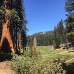 Crescent Meadow Trail