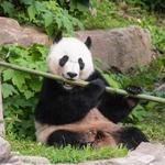 Smithsonian National Zoological Park