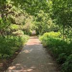 Coker Arboretum