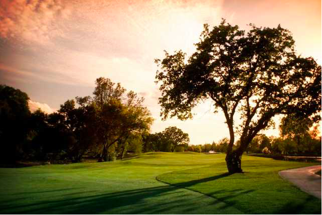 The Wedding Website of Amber Hiler and Eduardo Rodriguez
