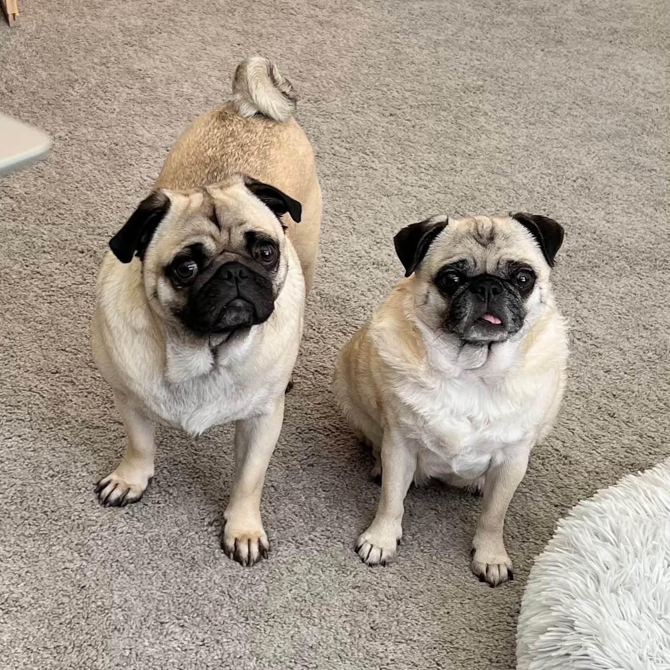 Miley & Barry, April 2022