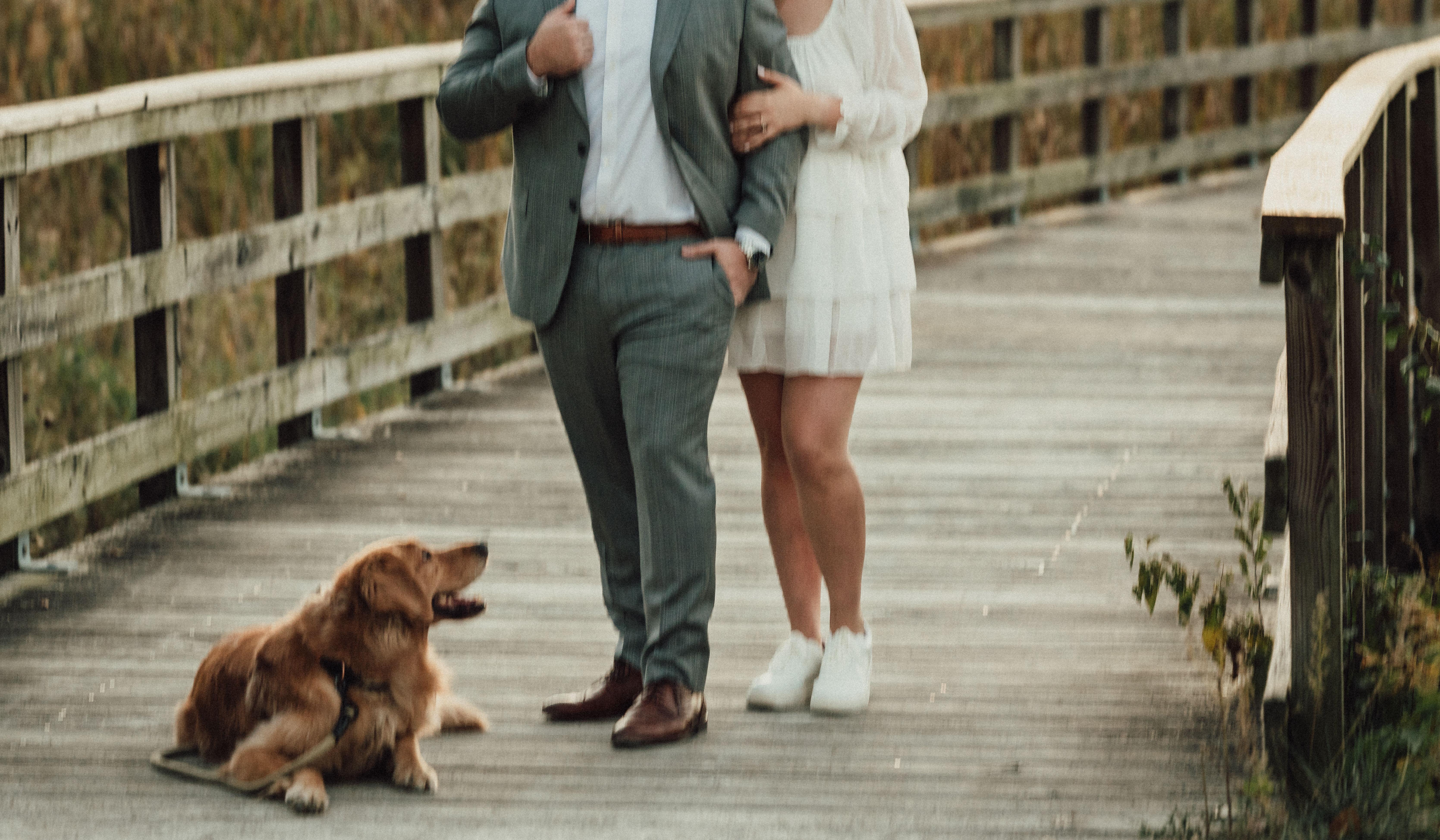 Hero Slideshow Image 0