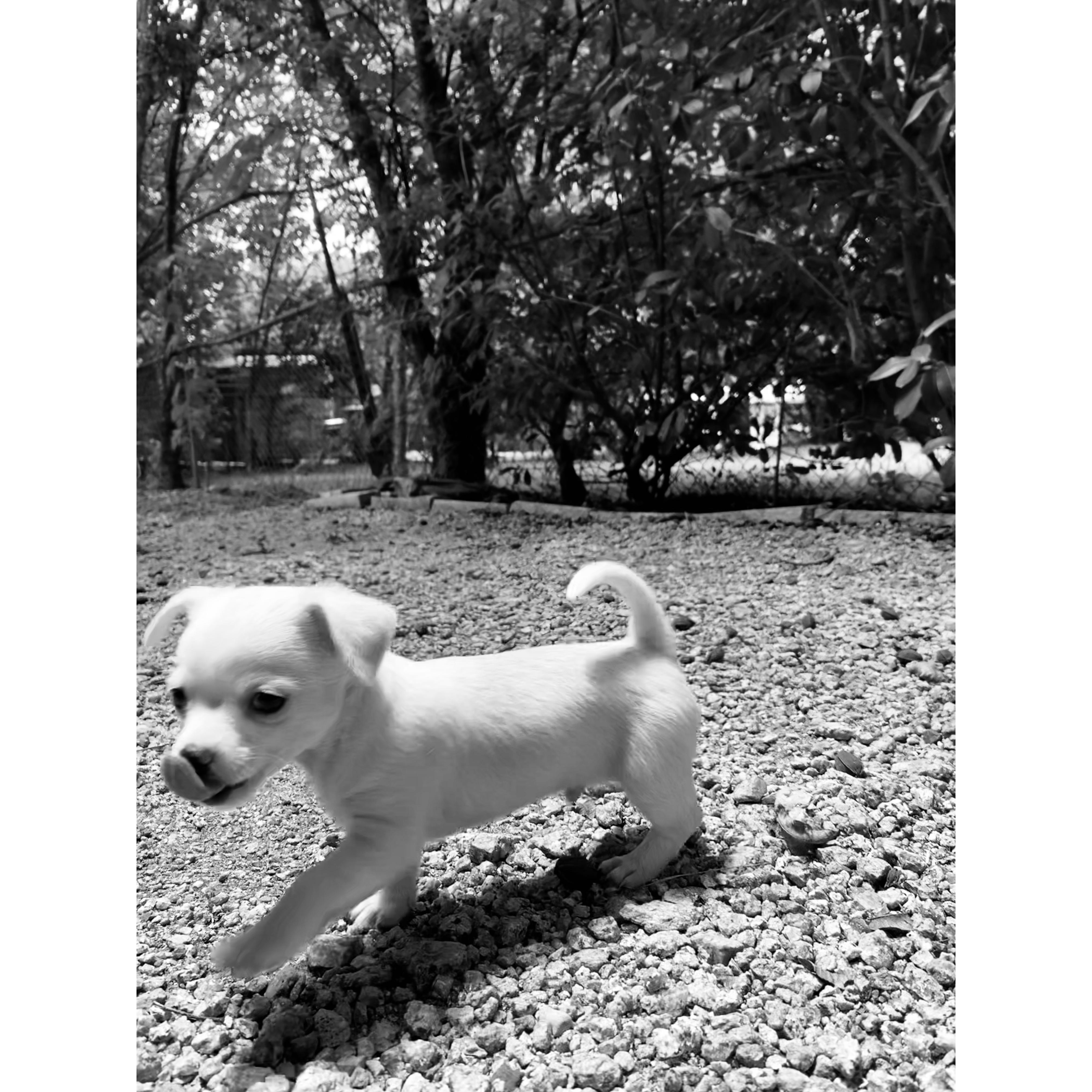 Newest and tiniest member of the family